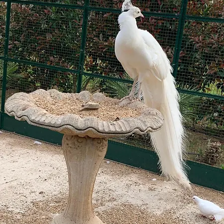 בית נופש Chateau De La Clapiere הייר