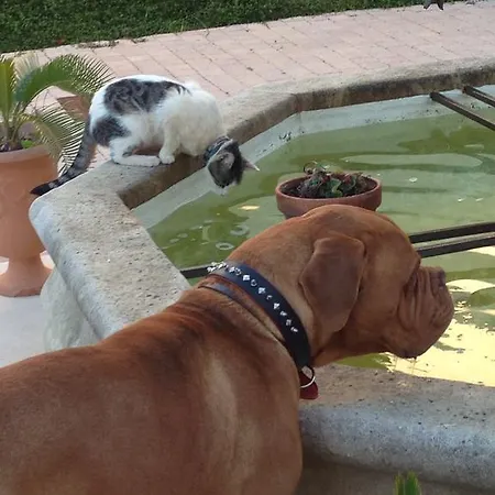 Chateau De La Clapiere בית נופש *