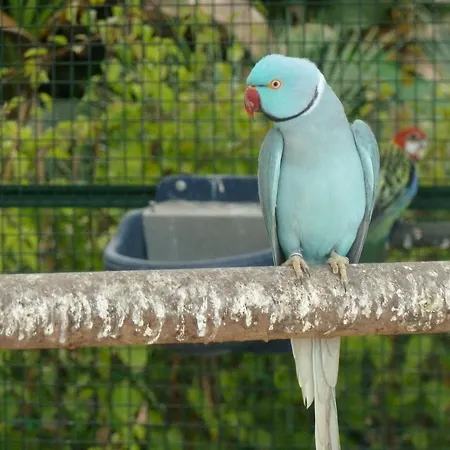 בית נופש Chateau De La Clapiere