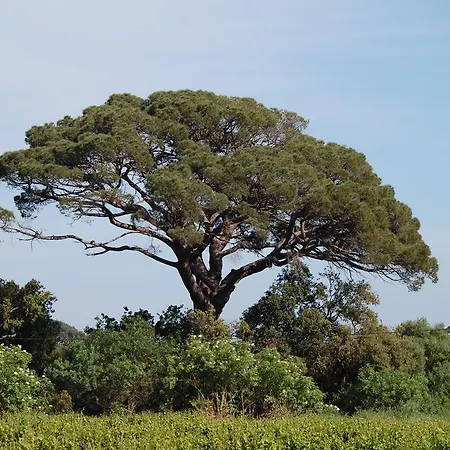 בית נופש Chateau De La Clapiere הייר
