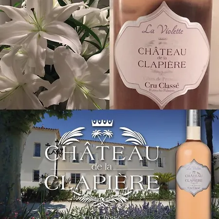 Chateau De La Clapiere Будинок відпочинку *