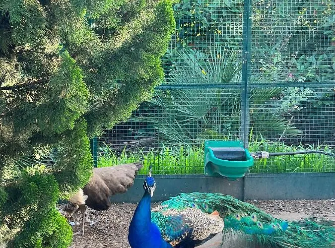 Chateau De La Clapiere