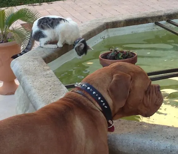 Chateau De La Clapiere Feriehus *