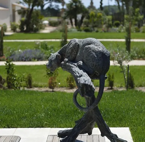 Chateau De La Clapiere Feriehus Hyères