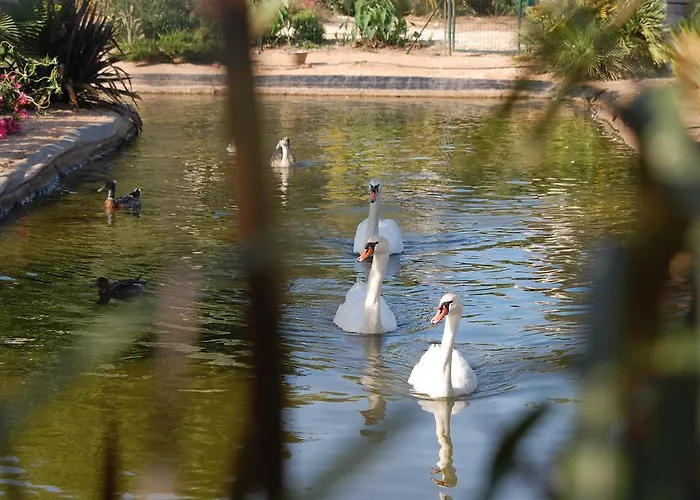 Chateau De La Clapiere *