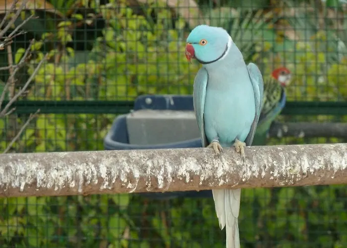 Feriehus Chateau De La Clapiere