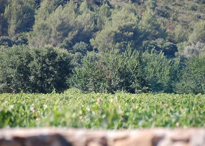 Feriehus Chateau De La Clapiere