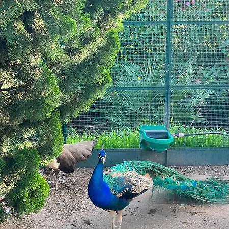 Chateau De La Clapiere