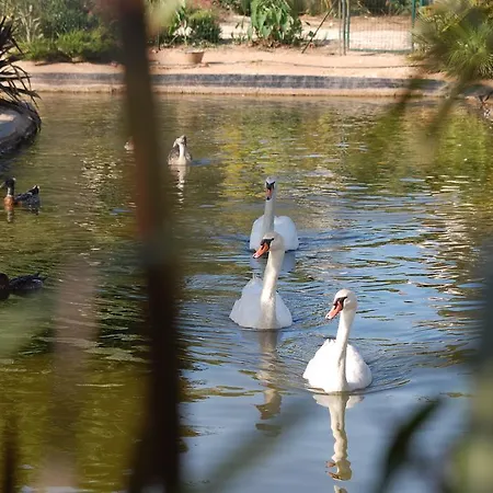 Chateau De La Clapiere *