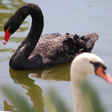 بيت للعطل Chateau De La Clapiere Hyères