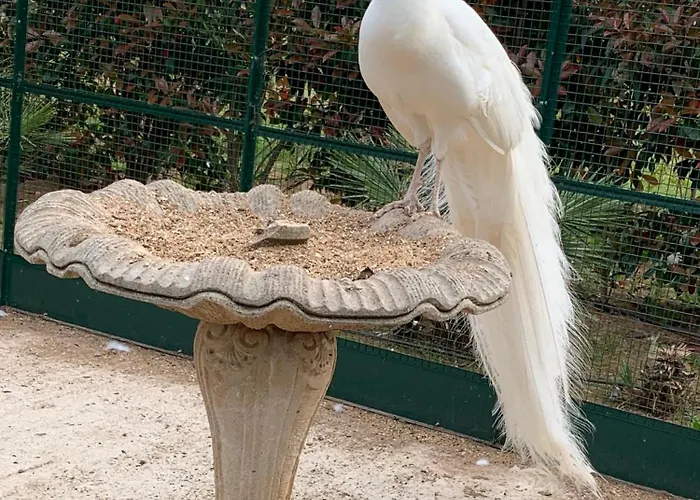 Vakantiehuis Chateau De La Clapiere Hyères