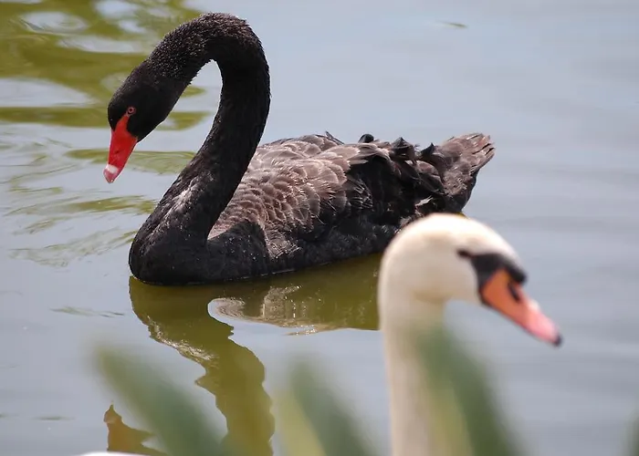 Holiday home Chateau De La Clapiere Hyeres