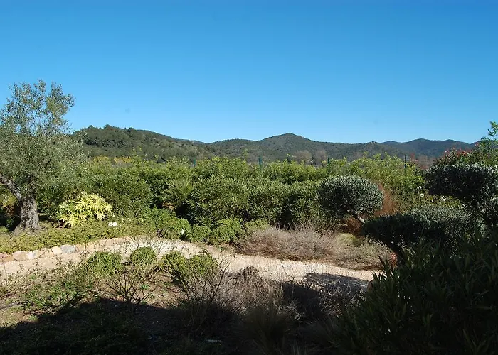 Chateau De La Clapiere Hyeres